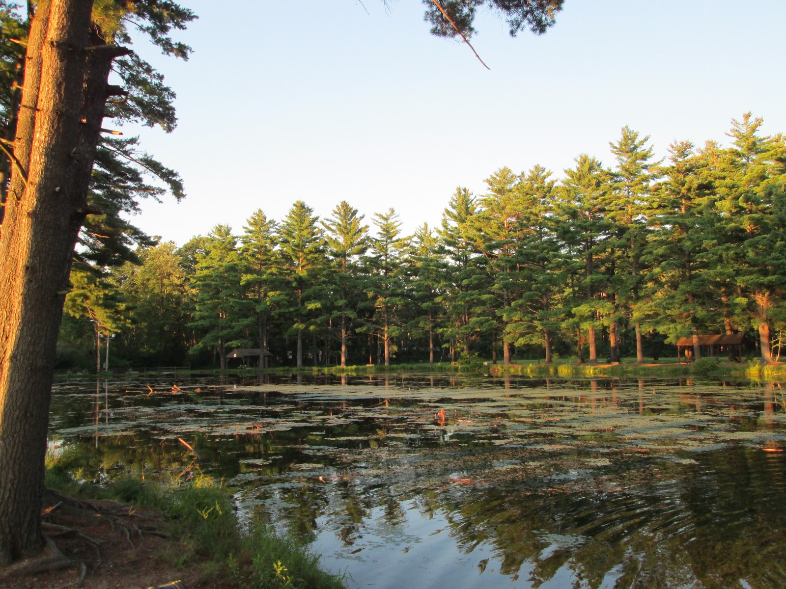 Exploring Massachusetts August 12th 2012 Badminton in Westborough and