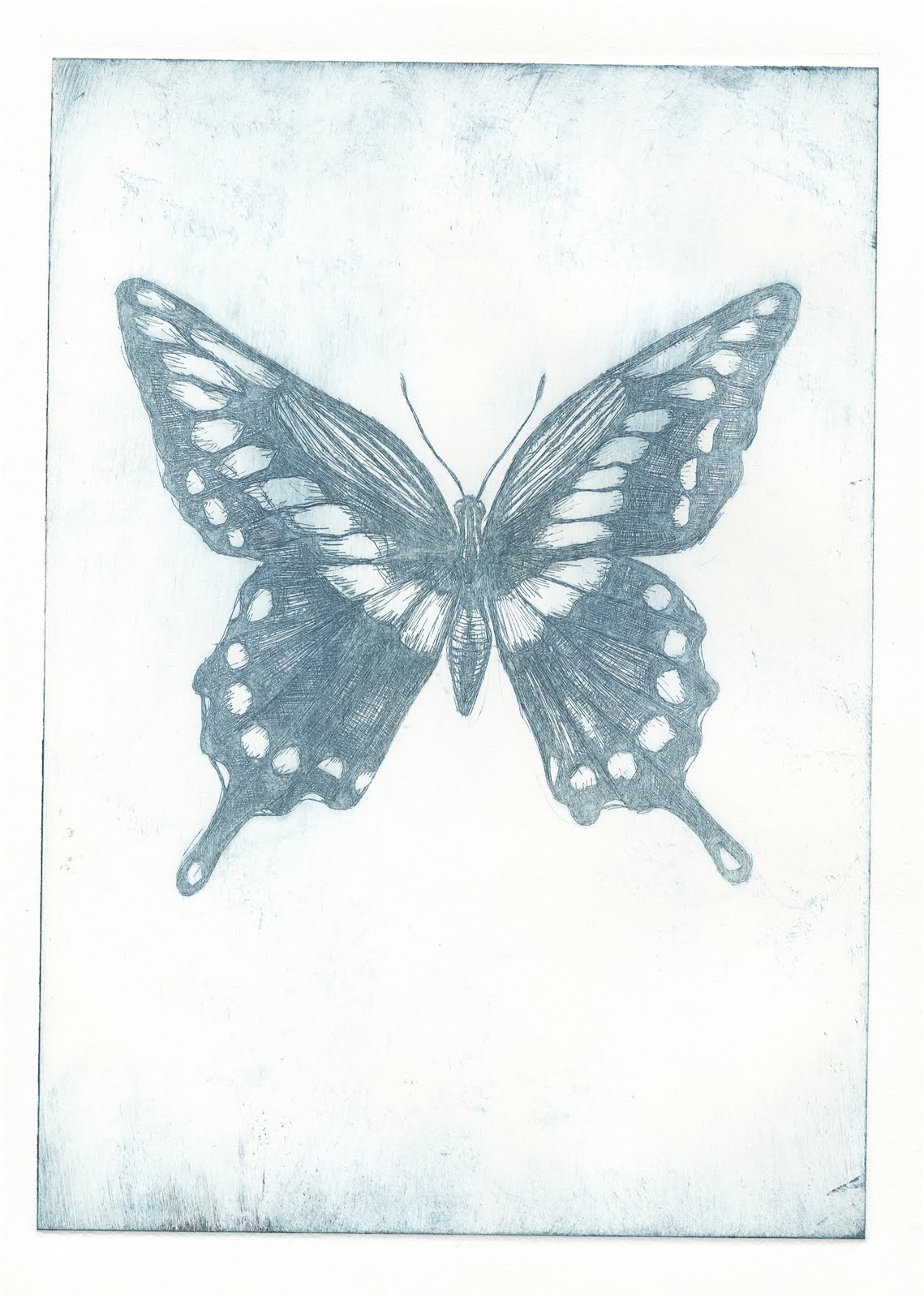 . Butterfly Etching