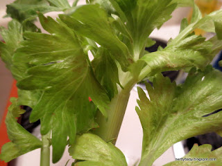 Nerdy Science: Colored Celery Sticks