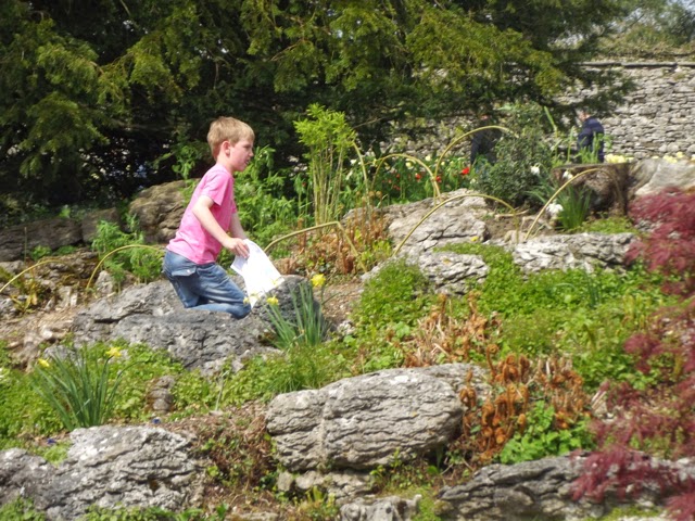 hunting for clues in Sizergh Castle rock garden