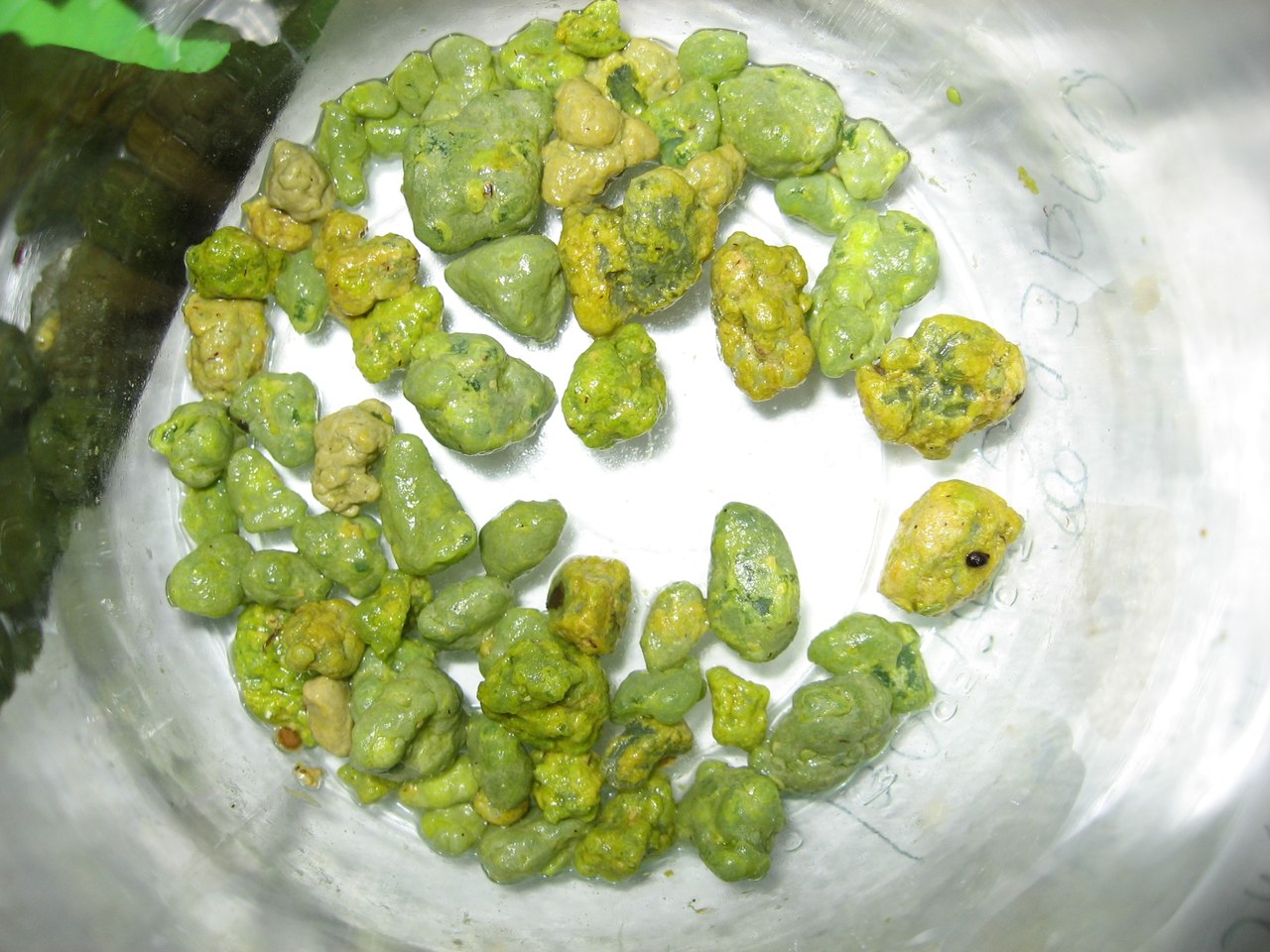 Кал при желчном пузыре. Зеленые билирубиновые камни. Камни из желчного в Кале.