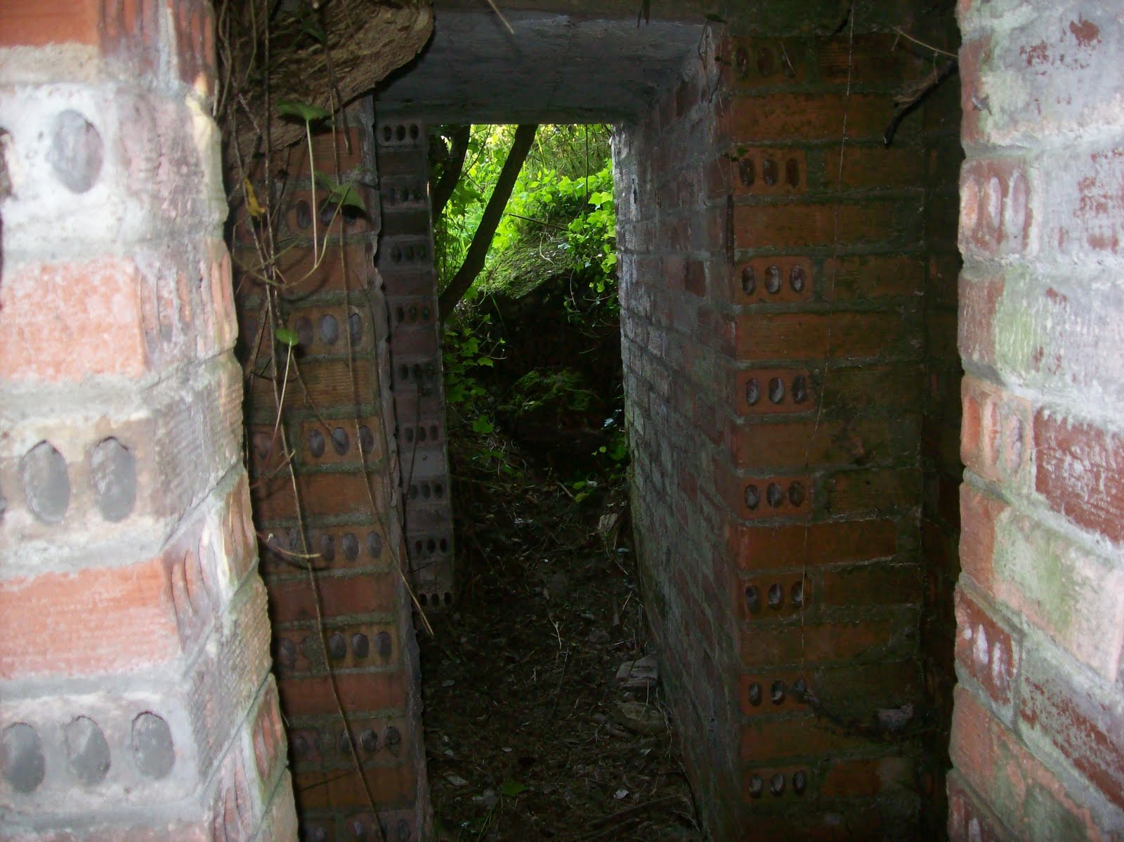 Asturtsalia Borrando las huellas de nuestro pasado