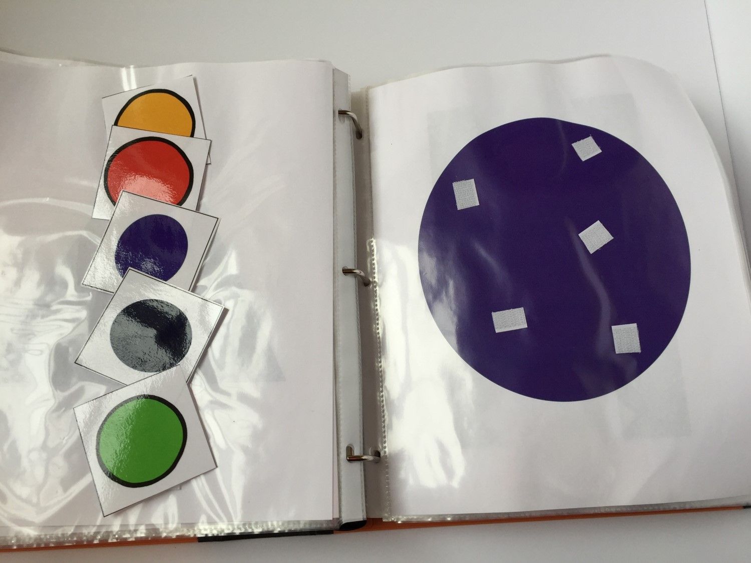 Miss Martel's Special Class: Adaptive Work Binder