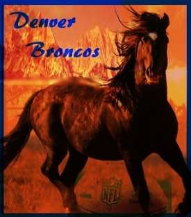 NFL Preview Standings Denver Broncos NFL Preview Standings Denver Broncos