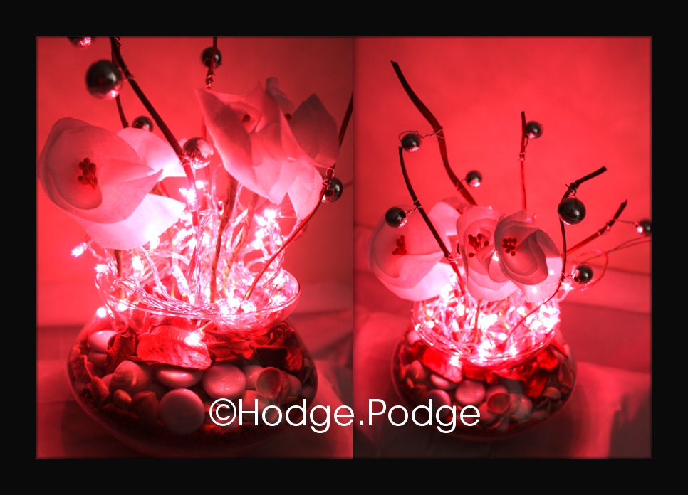 Hodge Podge LampsnLights