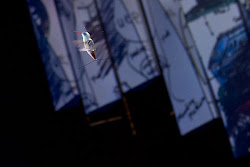 ted dugan hummingbird robots hypersonic gliders batteries liquid flying future innovation allthingsd documentaries talks travel books