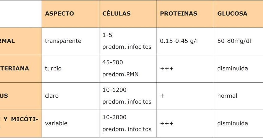 Líquido cefalorraquídeo en meningitis Líquido cefalorraquídeo en meningitis