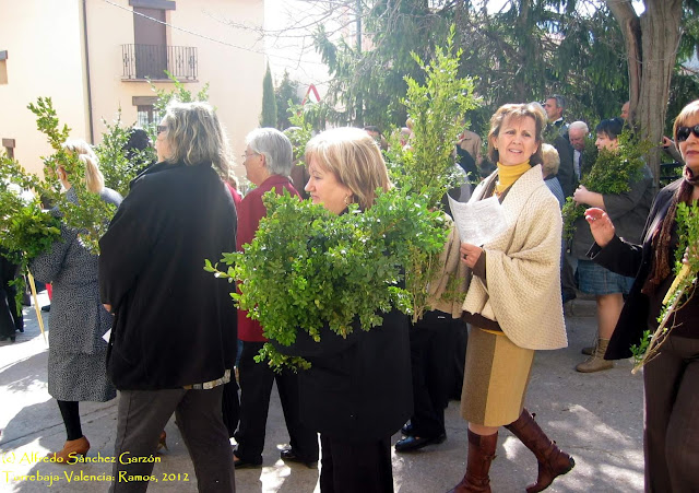 ramos-domingo-torrebaja-procesion