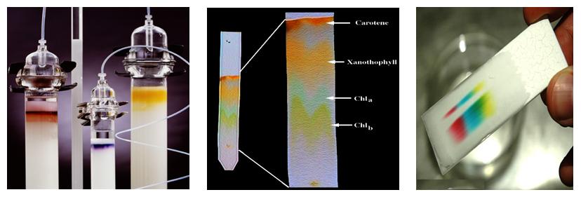 epub Photodynamic Therapy (Comprehensive Series in