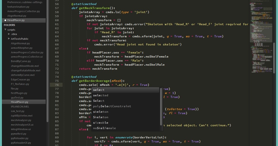 Sublime Text editor customization.