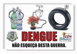Na luta contra a Dengue