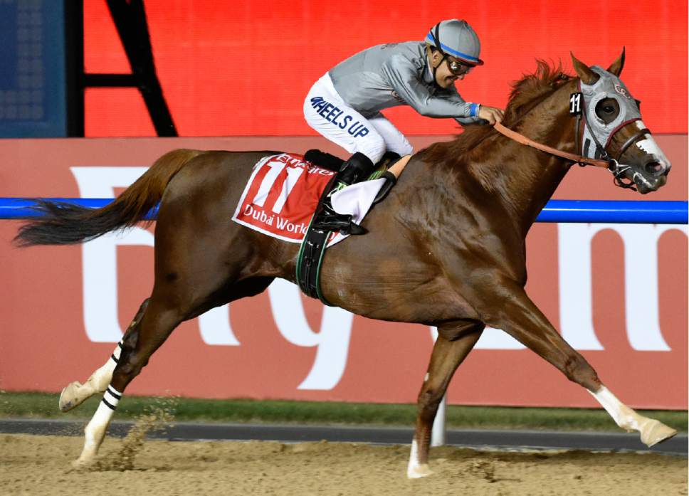 ThoroFan Blog Handicapper's Corner Pacific Classic Stakes (G1)
