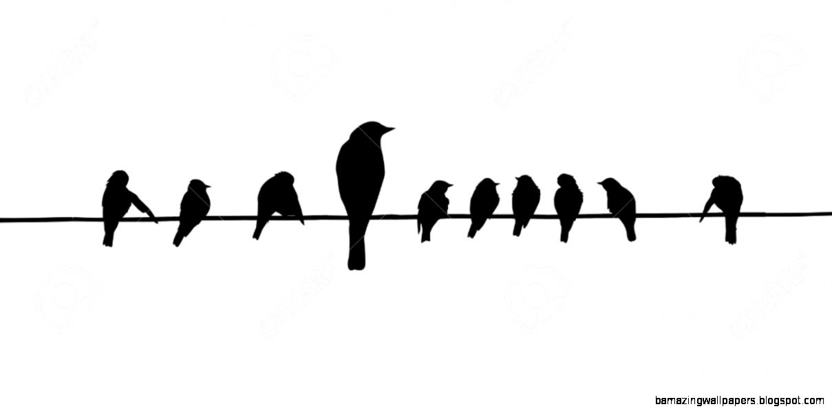 Vector Silhouettes Of The Birds On Wire Royalty Free Cliparts