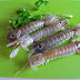 Madonna! 47+  Elenchi di Cicale Di Mare Bollite! Le canocchie o cicale di mare al vapore sono un tipico piatto della riviera romagnola, ma per una volta delicato e leggero.