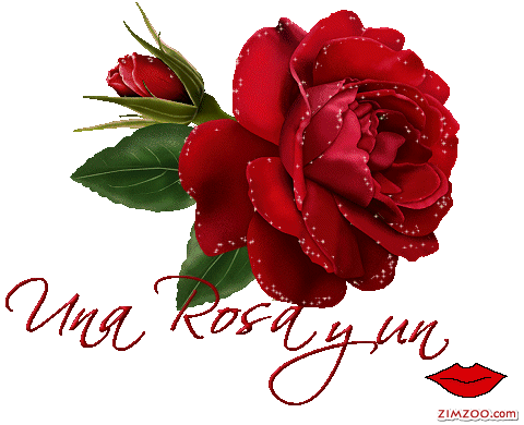 flores.gif
