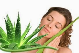 Benefits of Aloe Vera for Shiny Hair Benefits of Aloe Vera for Shiny Hair