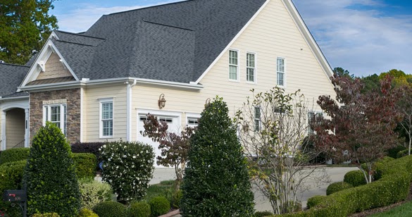 How To Plant Evergreen Shrubs