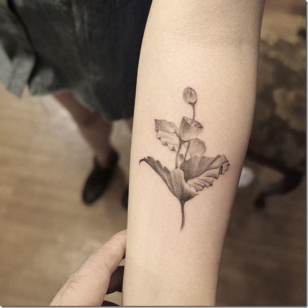 Tatuagens femininas de flor de lótus Tatuagens femininas de flor de lótus