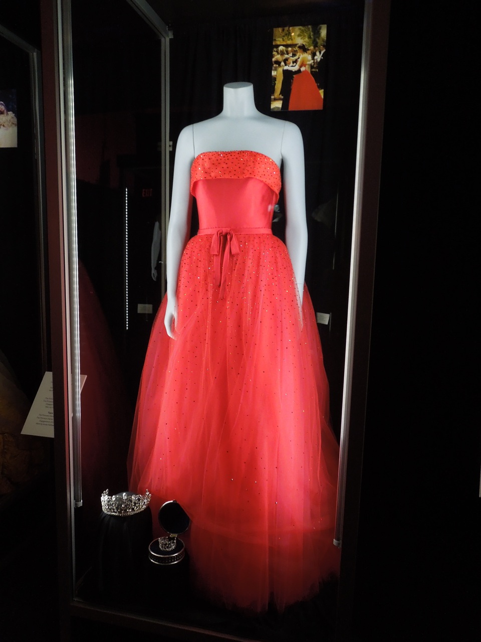 princess diaries gown