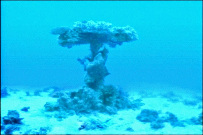 AKU DAN CERITAKU&hellip;: RODA KERETA KUDA FIRAUN DI DASAR LAUT MERAH