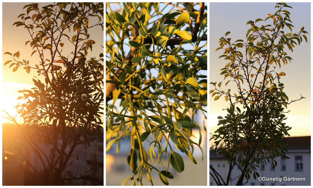 Art Sale Moderne Kunst Abstrakte Olgemalde Grosse Acrylbilder