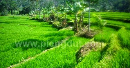 Sumber Daya Alam Berdasarkan Kemungkinan Pemulihan Plengdut Com Sumber Daya Alam Berdasarkan Kemungkinan Pemulihan Plengdut Com