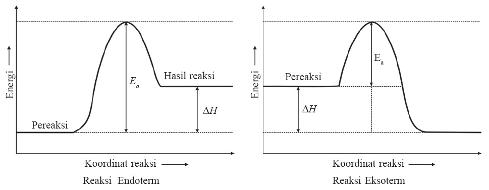 Contoh Soal Reaksi Eksoterm Dan Endoterm / Contoh Reaksi Eksoterm Dan