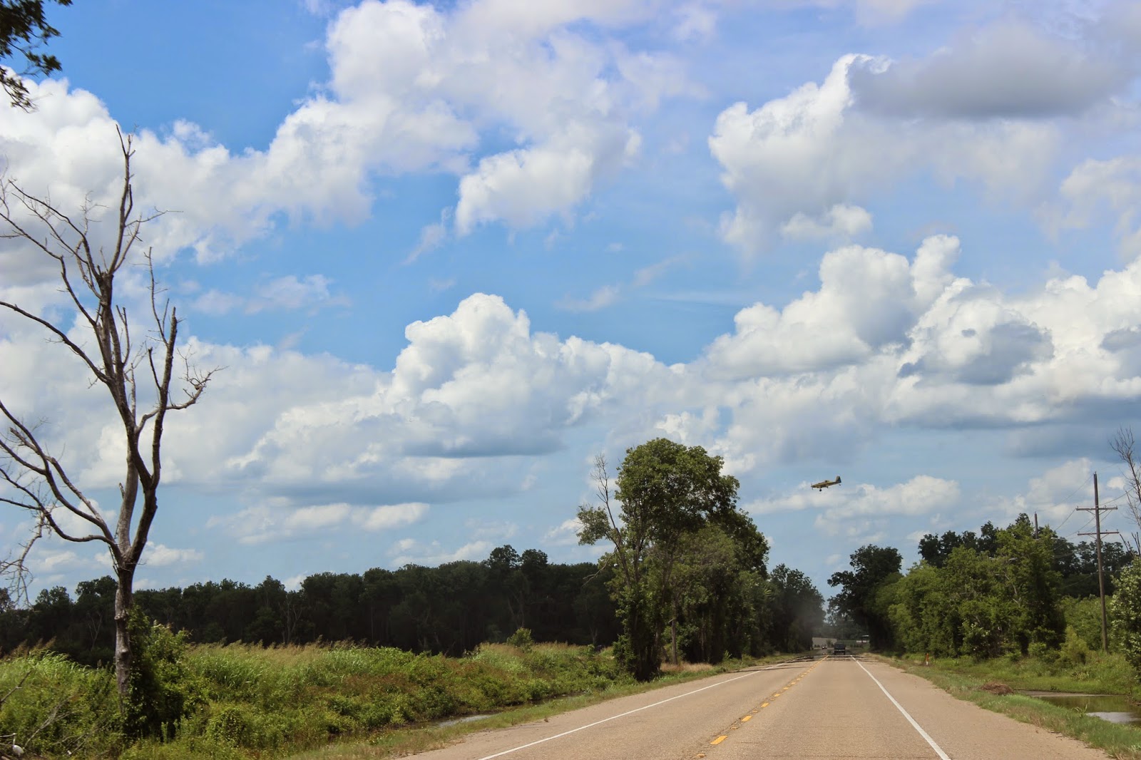 And So it Goes in Shreveport Take a Trip to Coushatta, See the