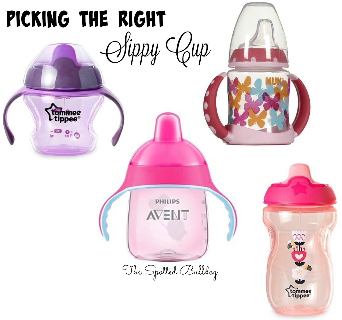 The Spotted Bulldog Picking the Right Sippy Cup