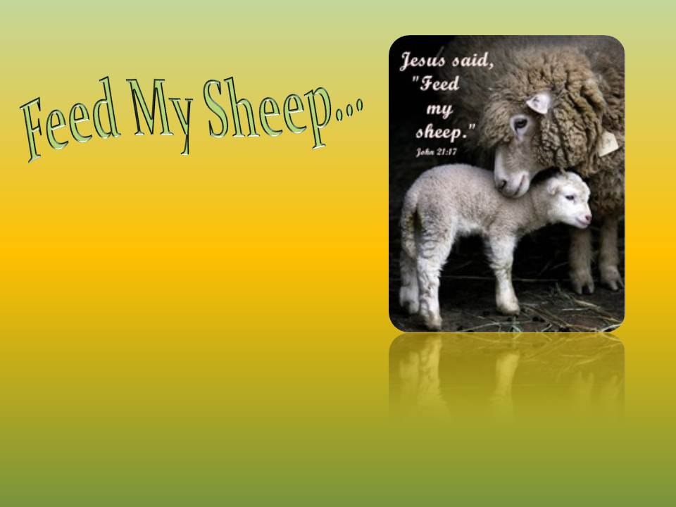 VillageOhio Feed My Sheep by Cheri Holdridge (with an assist by Kurt