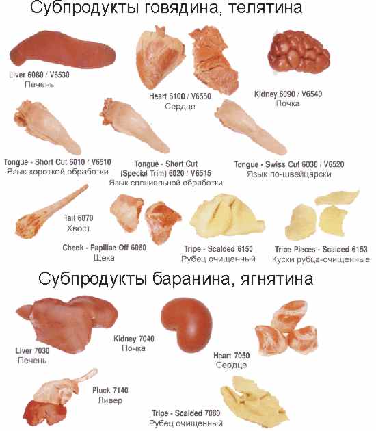Можно печень щенкам. Субпродукты говяжьи классификация. Говяжьи субпродукты схема. Субпродукты мяса 1 и 2 категории. Субпродукты из говядины названия.