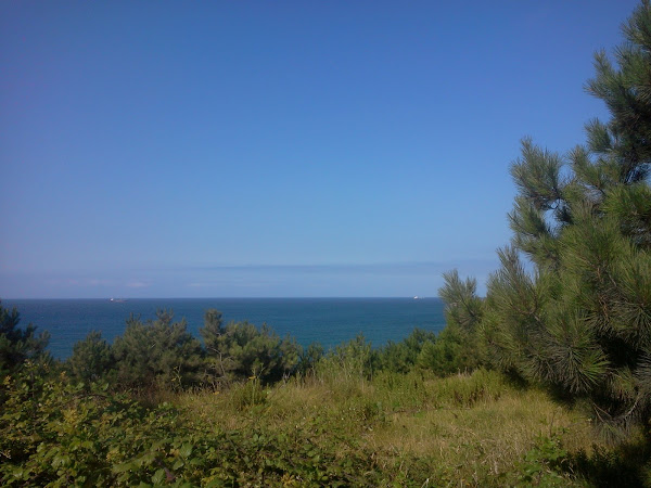 playa peña maría carreño