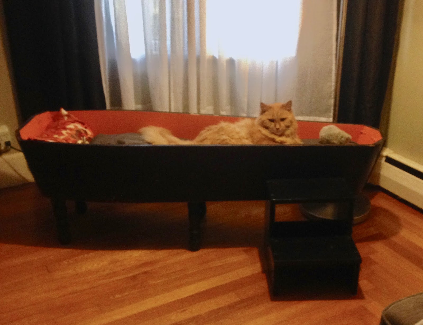 Shivers of Delight The Coffin Cat Bed