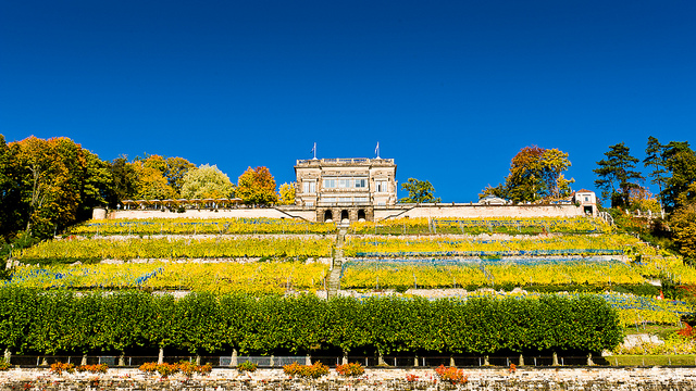 Dresdner Zwinger