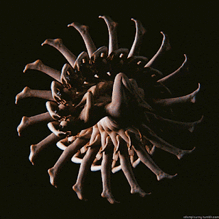 Animación Pizurny desnuda Gifs desnudos artísticos