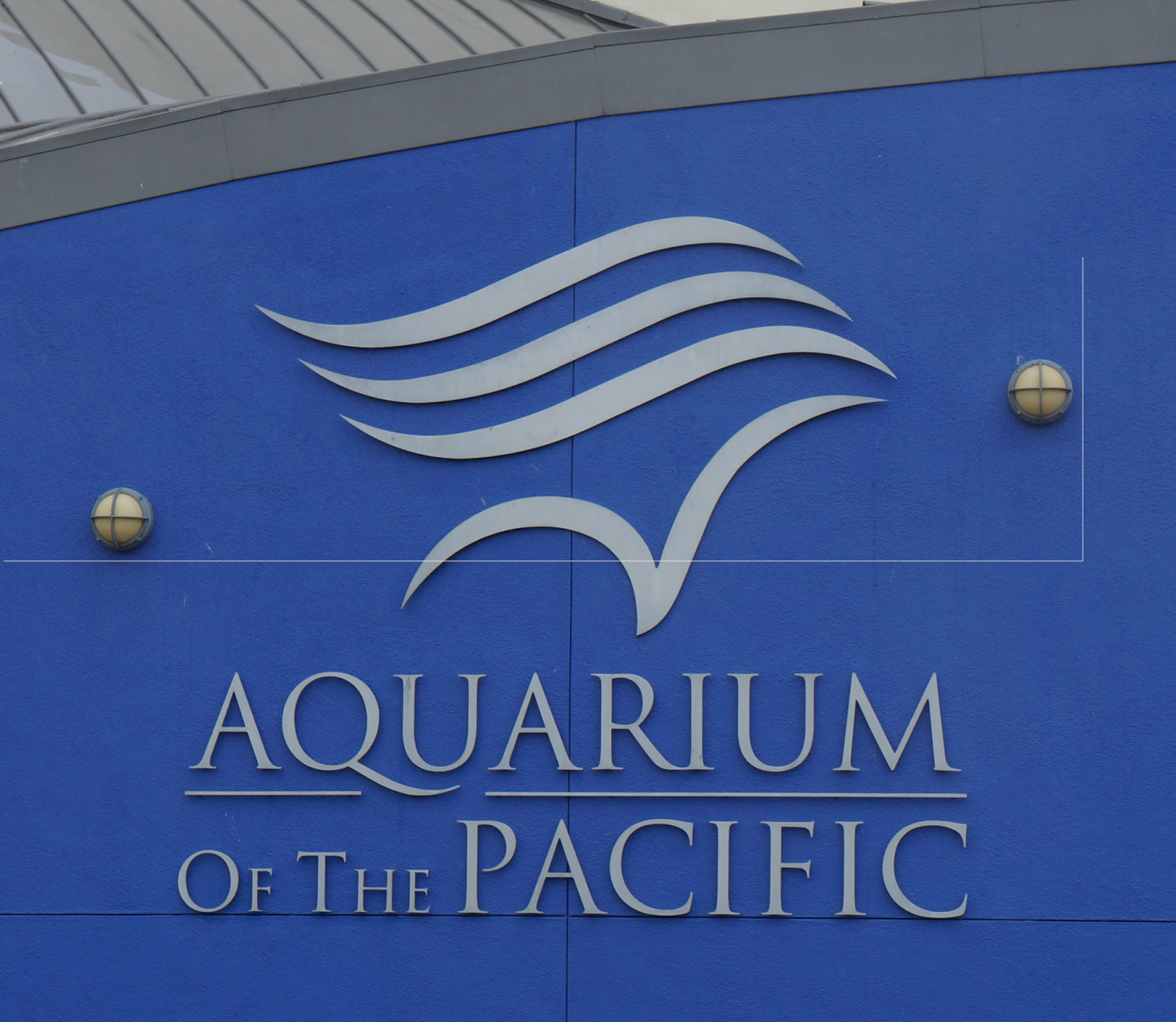 Visitor's Guide to the Aquarium of the Pacific