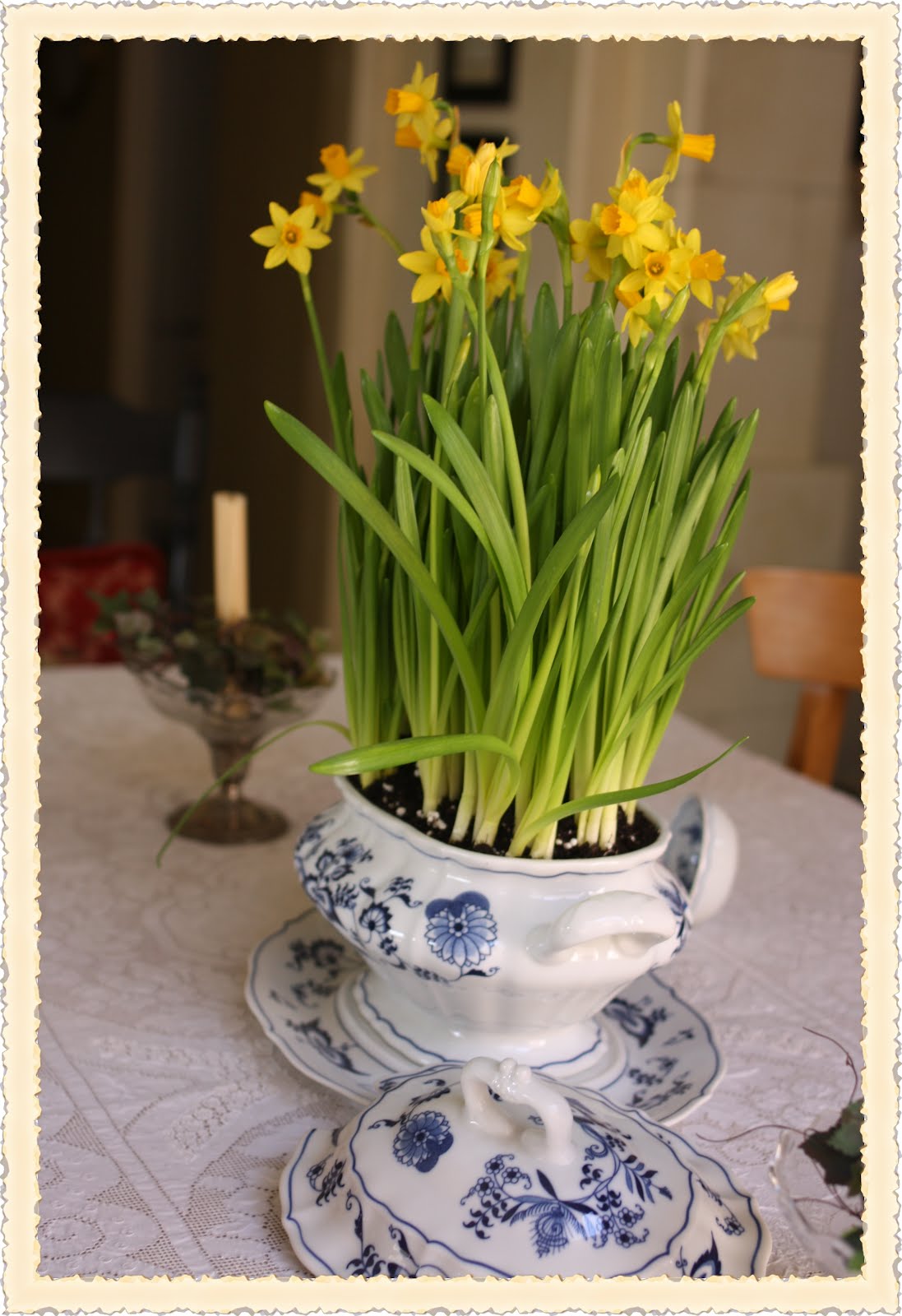 Rose Vignettes: Fresh-Cut Friday #20 Daffodils