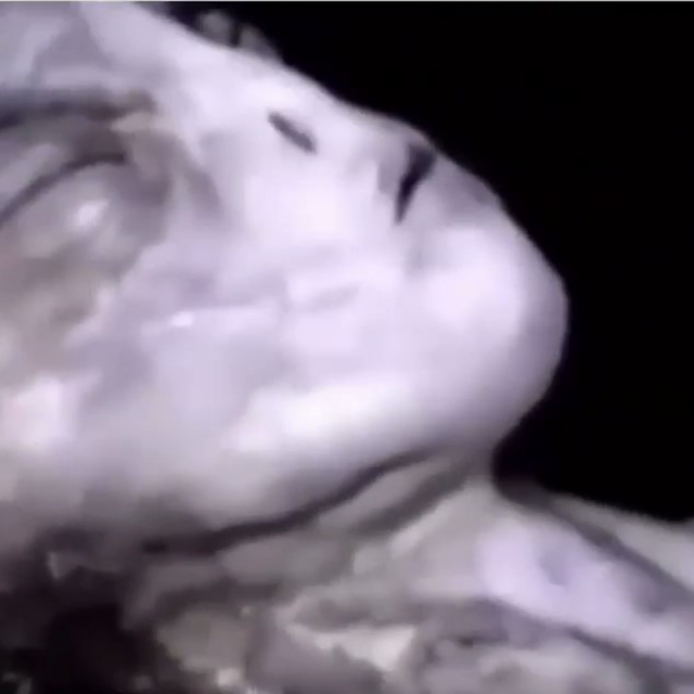 Alien recovered from a crashed UFO. Alien recovered from a crashed UFO.