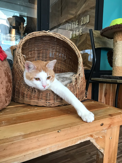 Little Zoo cafe, siam