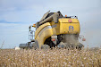 New Holland CX 780 Combine. Poppy & Opium