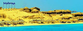 Mahmya Island Tours In Hurghada