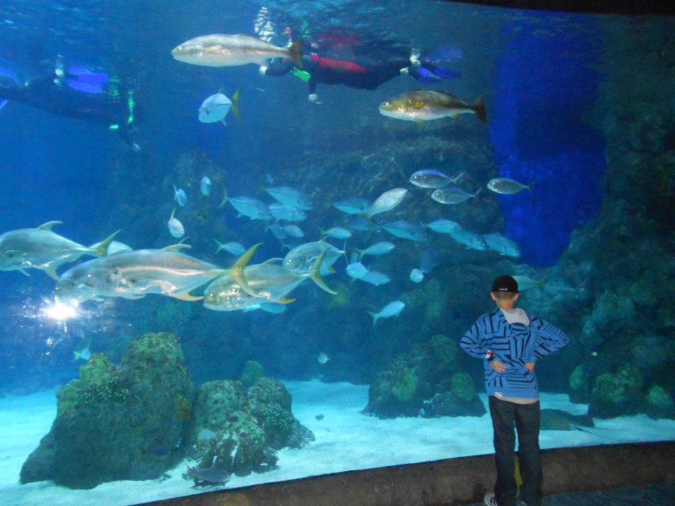 The Smiths Denver Aquarium