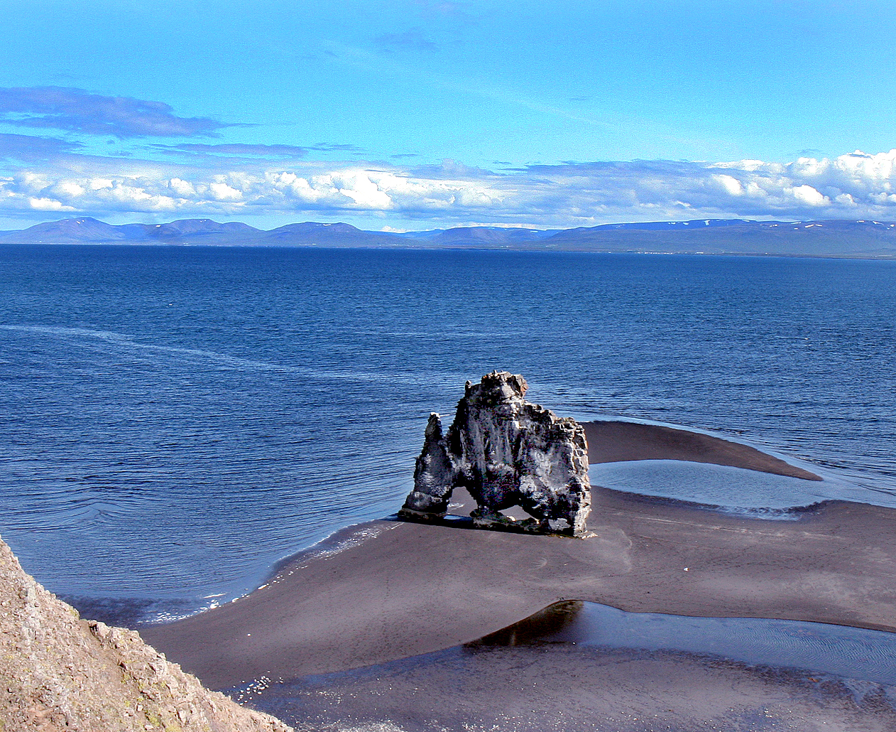 The Vatnsnes Peninsula Seals In The North Of Iceland