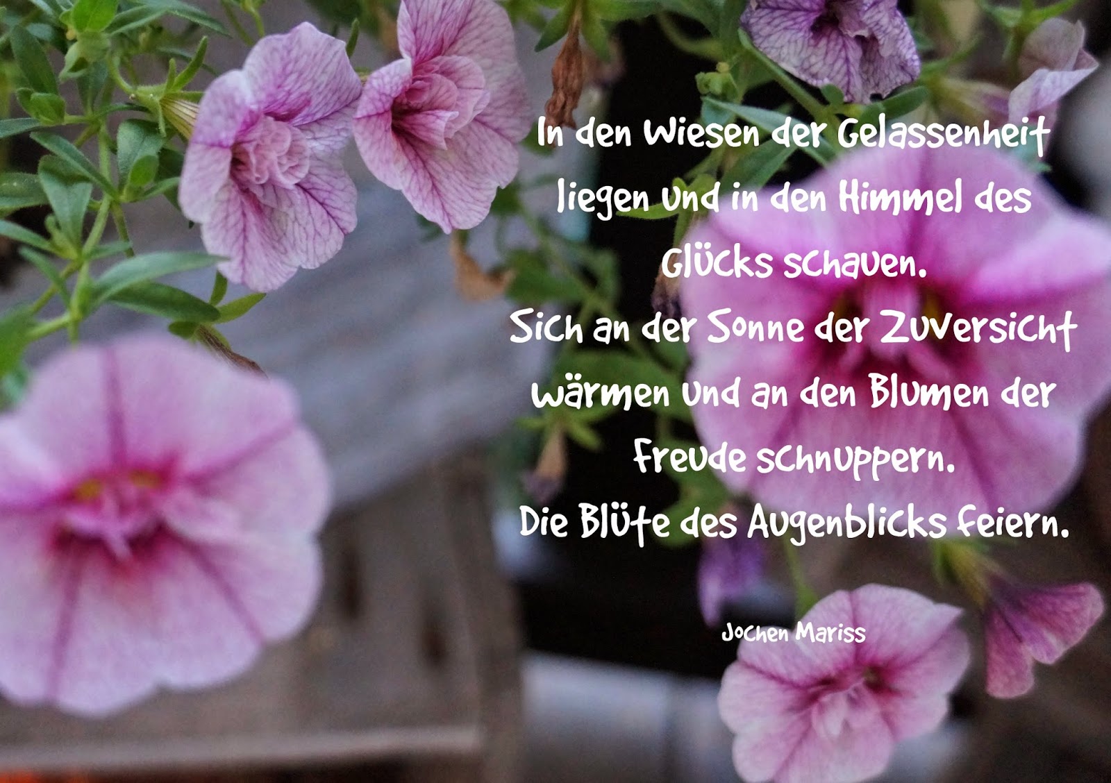 HandWerk aus Papier Juli 2014