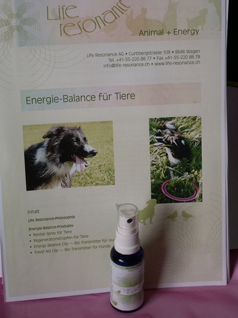 Kurbis Pasta Mit Butternut Honig Garnelen Brauner Butter Und