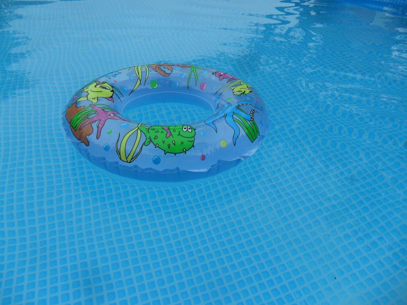 Tibbes Fotoblogg: Badring i pool