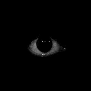 Image result for halloween gif