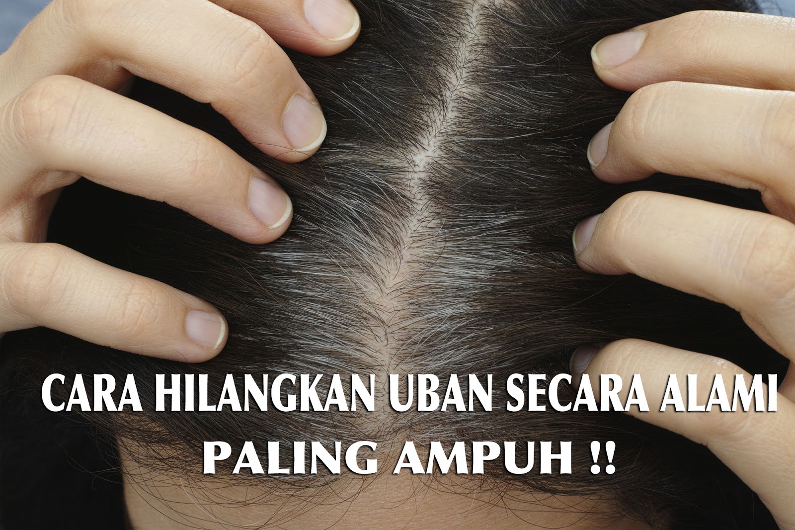 Tips Ampuh Menghilangkan Uban - Tips Ampuh 100%