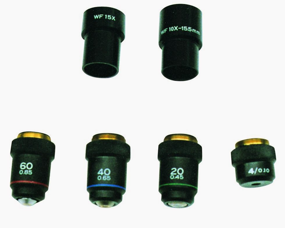 Wide Field Eyepiece 接目鏡(WF10倍)