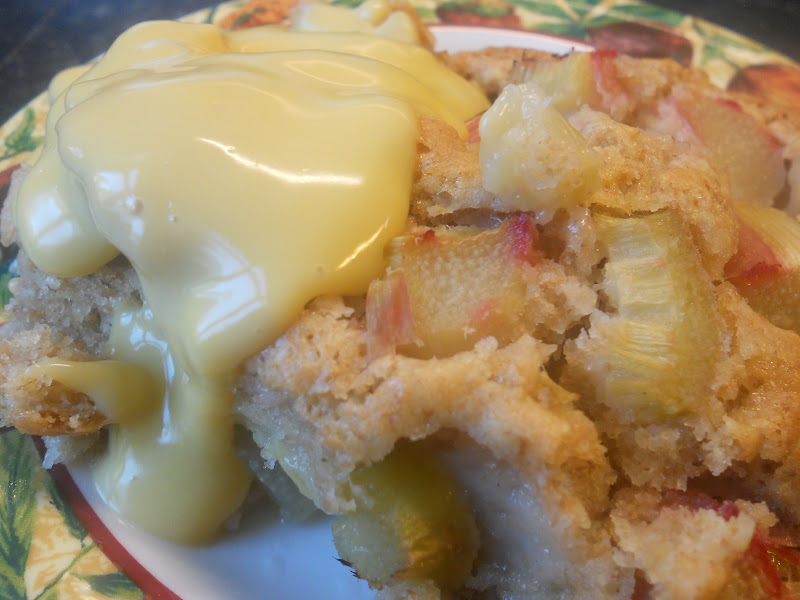 Rhubarb Pudding Cake vegan